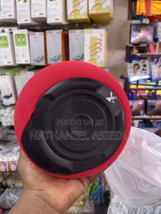 C35 Portable Loudspeaker · Photo 3