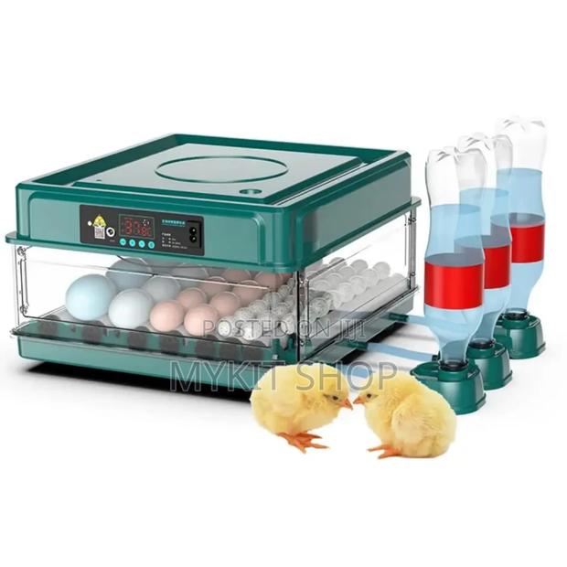Quality 48egg Incubator Dual Power · Photo 1