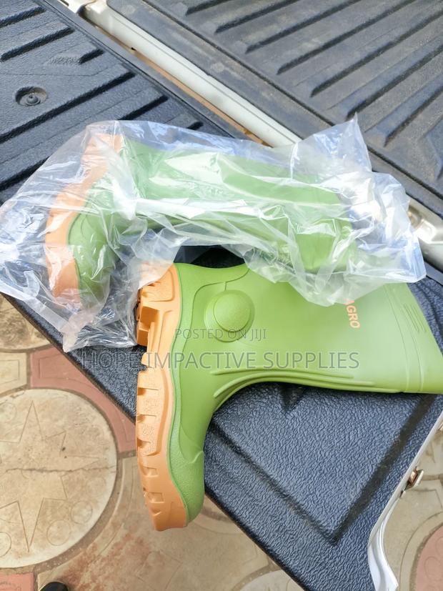 Heavy Duty Normal Wellington Boots (Agro Brand) · Photo 2