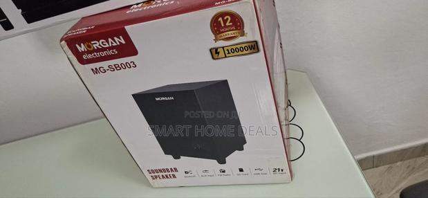 Original Morgan Sound Bar Woofer · Photo 2
