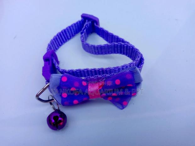 Dog Collar for Puppies · Photo 1