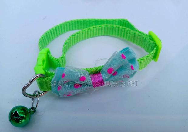 Dog Collar for Puppies · Photo 2