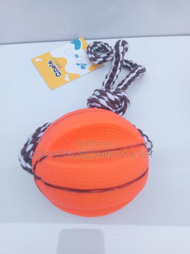 Quality Pet Play Toy · Photo 1