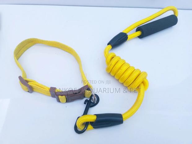 Pet Leash Chain With Collar · Photo 1