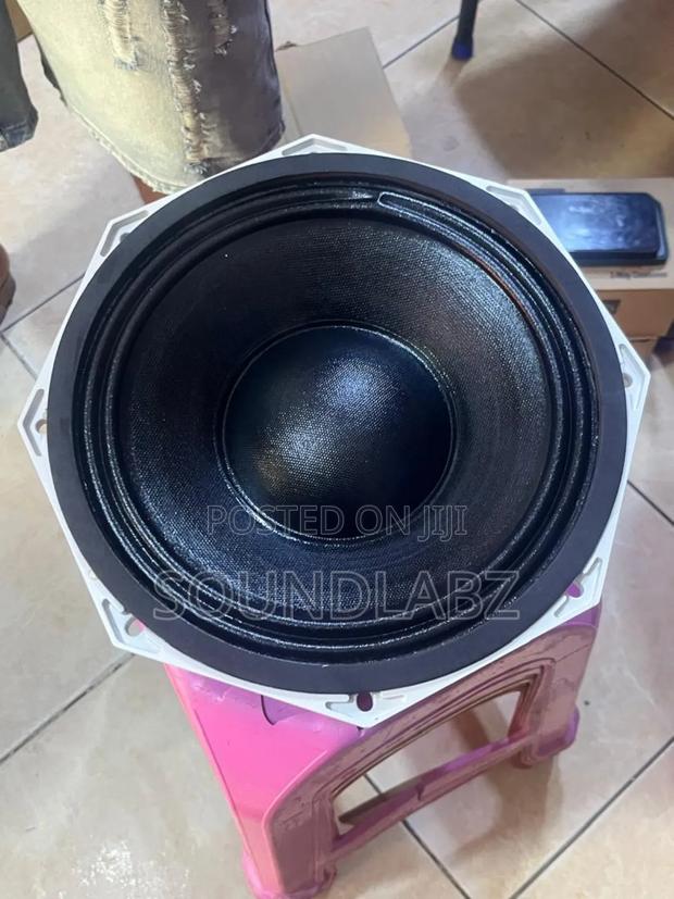 Jld 10-inch Double Magnet Pa Naked Speaker/Subwoofer. · Photo 3