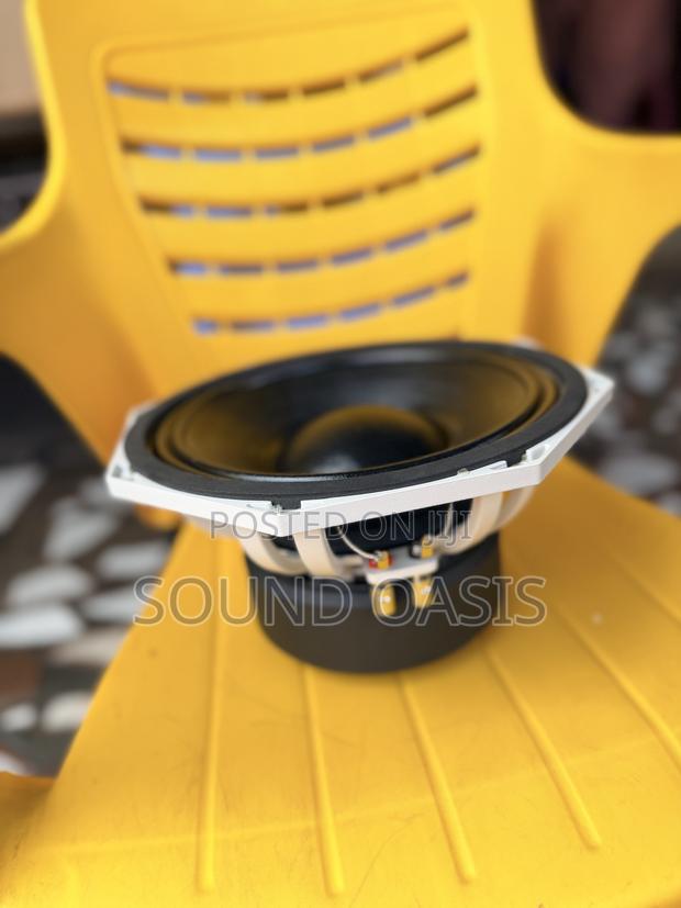 JLD-Pw47210-03 Pa Naked Speaker(10 Inches) · Photo 4