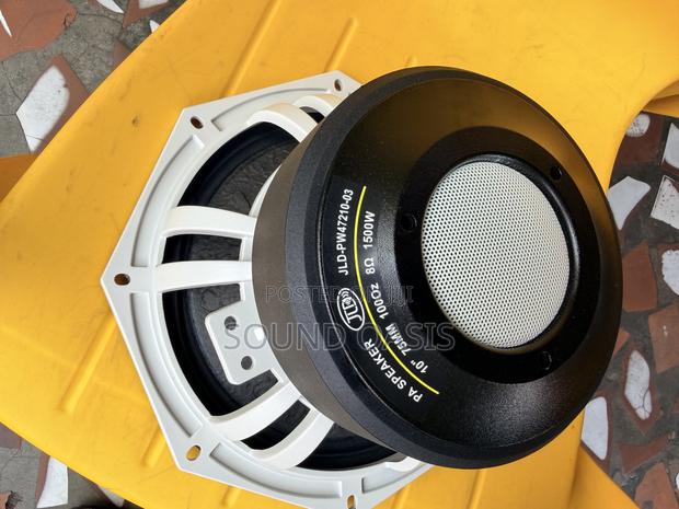 JLD-Pw47210-03 Pa Naked Speaker(10 Inches) · Photo 1