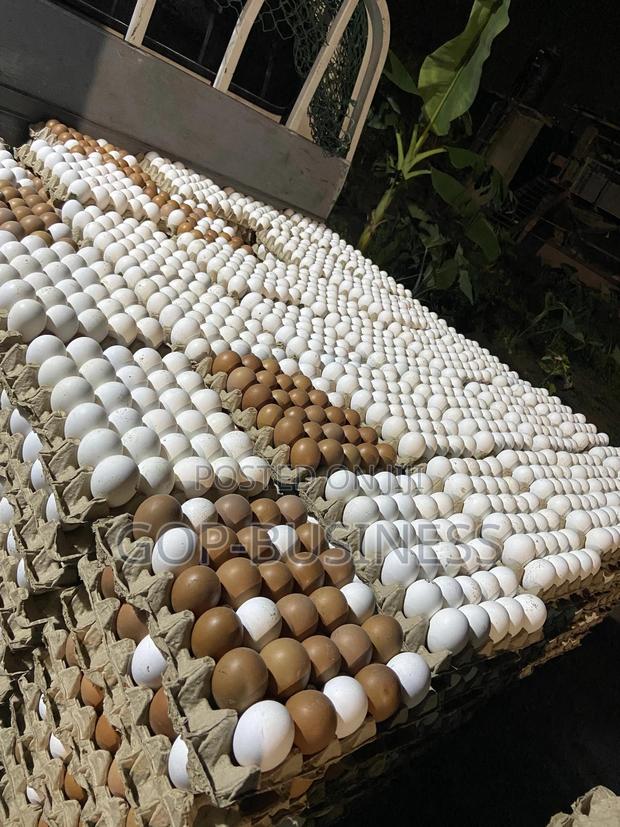 Fresh Organic Eggs · Photo 1