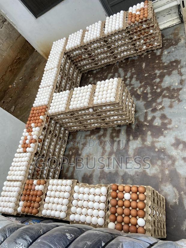 Fresh Organic Eggs · Photo 2