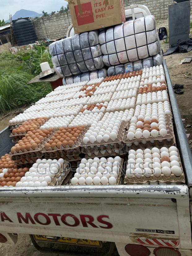 Fresh Organic Eggs · Photo 3