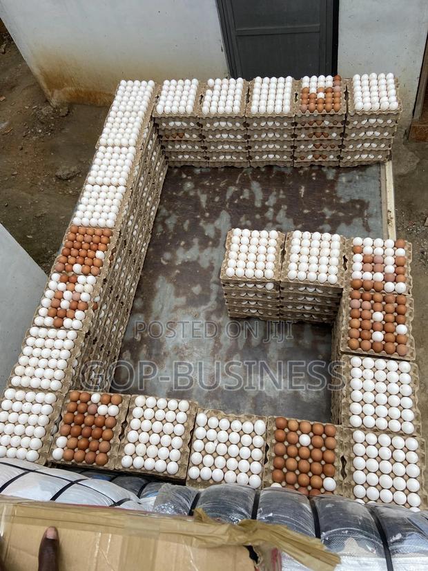 Fresh Organic Eggs · Photo 5