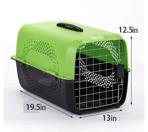 P2 Plastic Green Cage · Photo 1