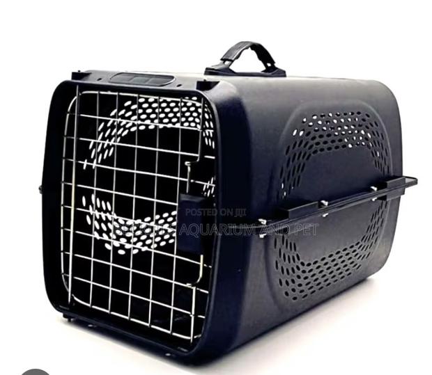 P3 Plastic Black Flight Cage · Photo 1