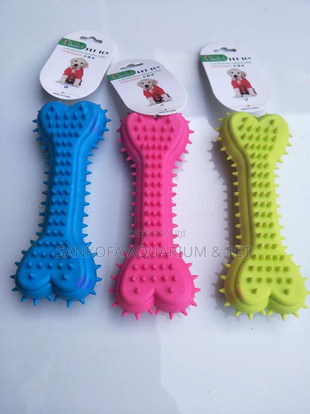 Dog Bone Play Toy · Photo 1