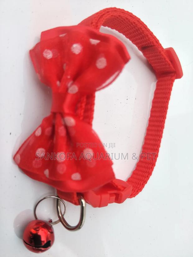 Quality Dog Collar · Photo 1