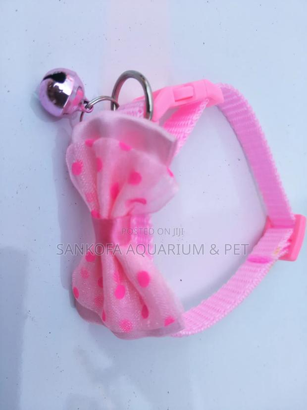 Quality Dog Collar · Photo 2