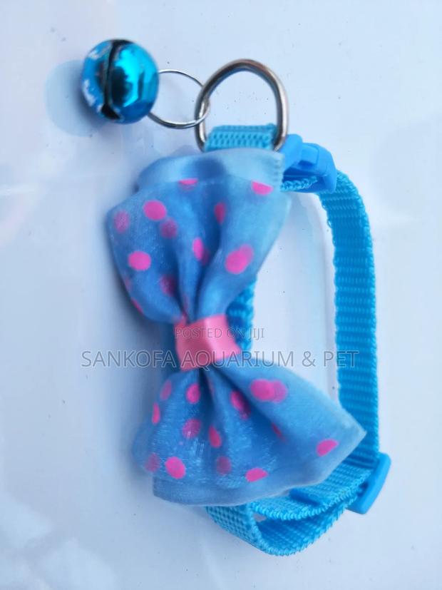 Quality Dog Collar · Photo 3