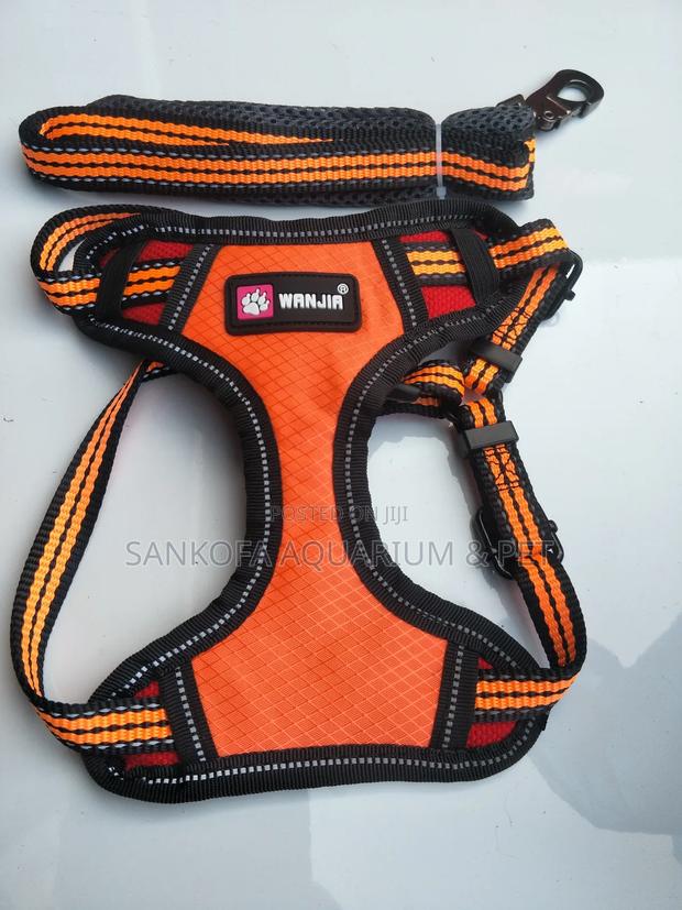 Dog Quality Harness · Photo 1