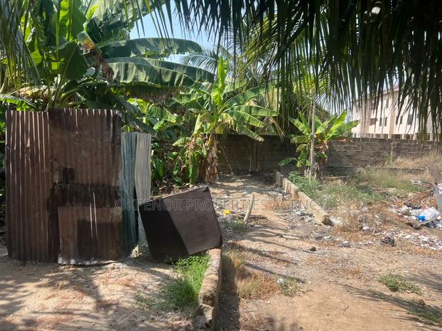 1plot Fence for Sale at Tseaddo Bushroad · Photo 6