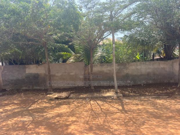 1plot Fence for Sale at Tseaddo Bushroad · Photo 7