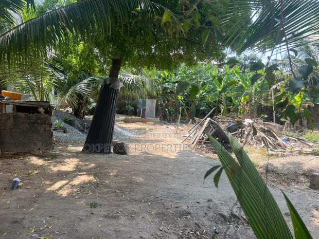 1plot Fence for Sale at Tseaddo Bushroad · Photo 8