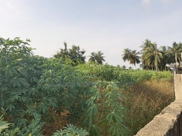 4plot Fence for Sale at Ada Junction · Photo 3