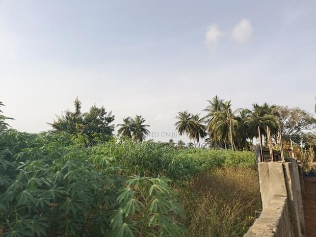 4plot Fence for Sale at Ada Junction · Photo 4