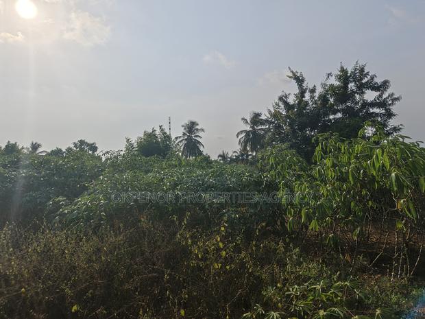 4plot Fence for Sale at Ada Junction · Photo 5