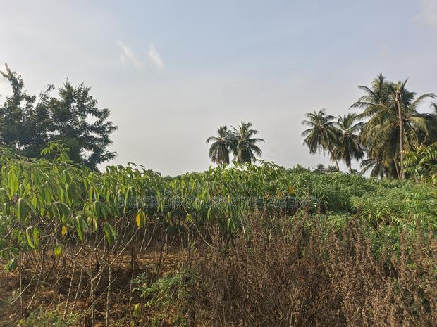 4plot Fence for Sale at Ada Junction · Photo 7