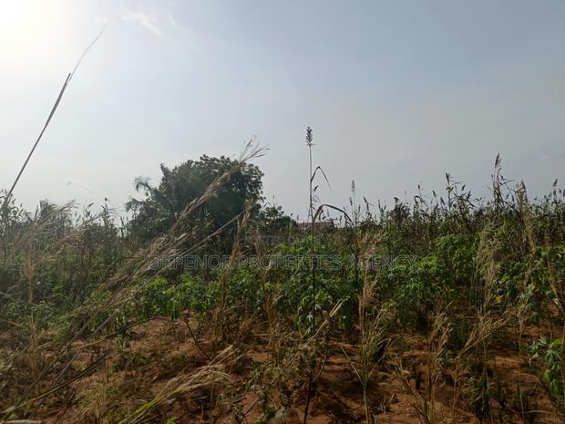 3plots Fence for Sale at Ada · Photo 4