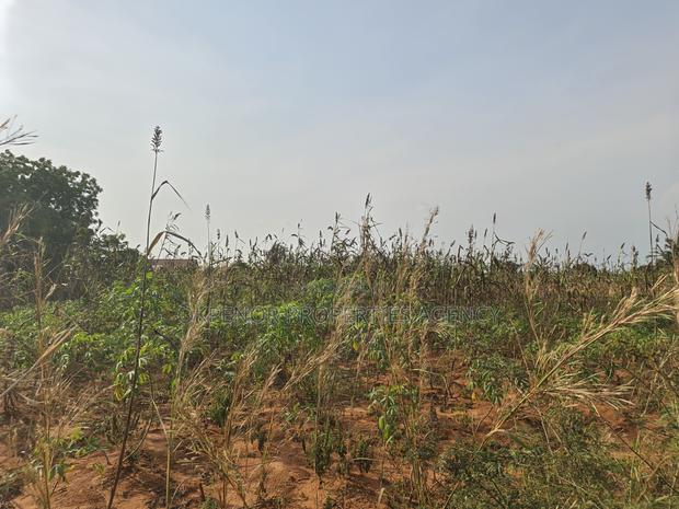 3plots Fence for Sale at Ada · Photo 8
