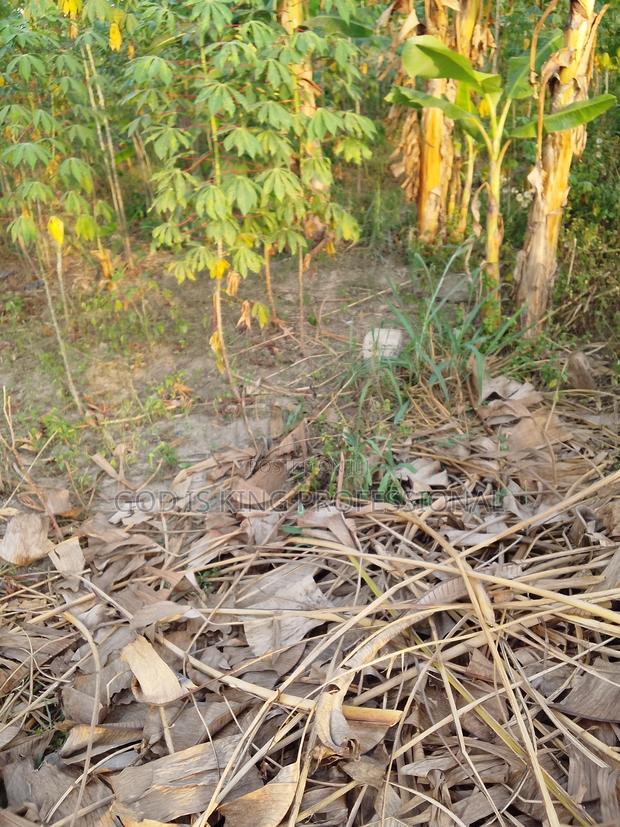 Half Plot at Jachie Pramso · Photo 5