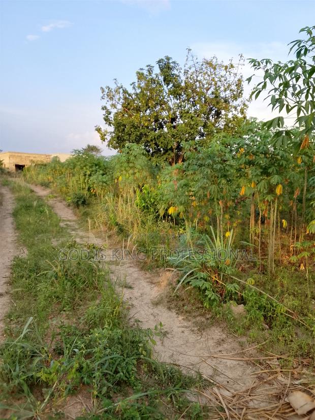 Half Plot at Jachie Pramso · Photo 3