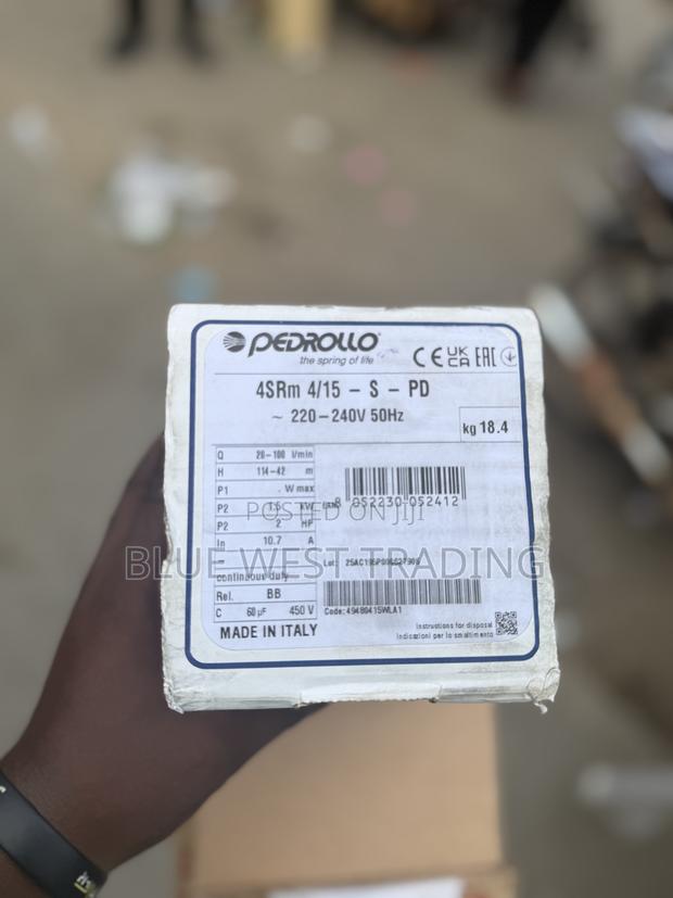 Pedrollo Borehole Pump 2 Horsepower _ Pedrollo 2hp Borehole Pump · Photo 2