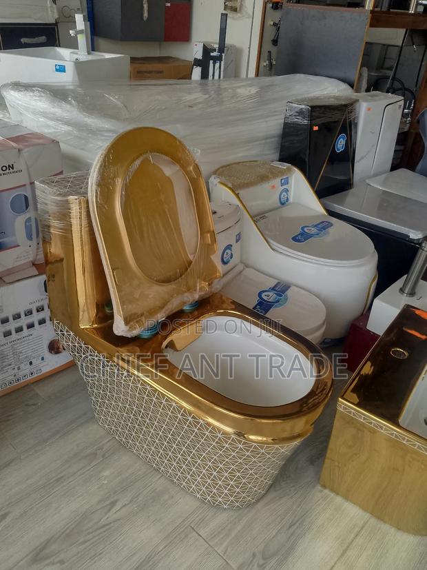Golden Combined Toilet Seat Wc Water Closet A060s · Photo 1