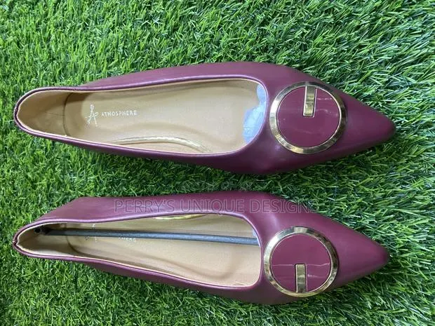 Midnight Elegance Pointed-Toe Flats · Photo 1