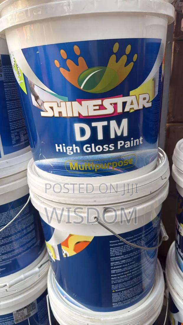 Shinestar DTM (High Gloss Paint · Photo 7