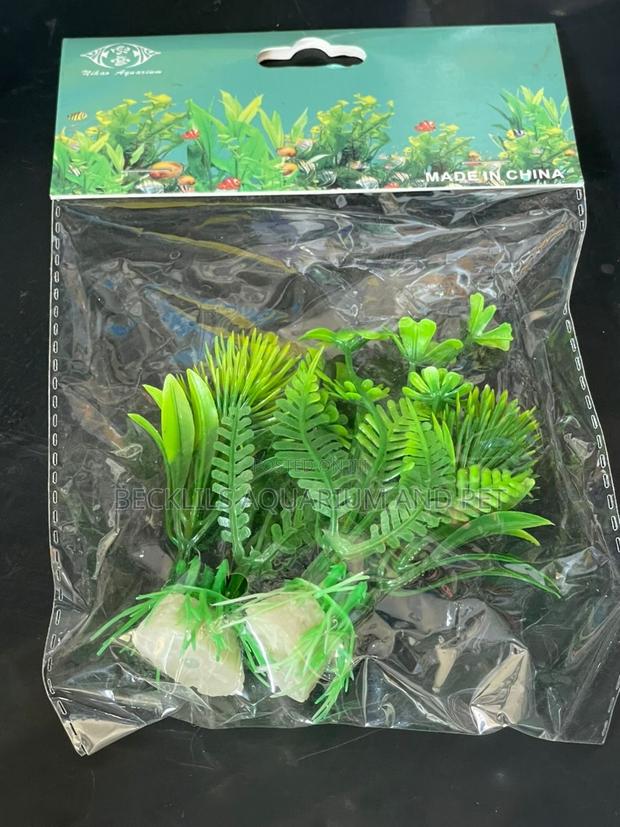 Mini Aquarium Plants · Photo 2