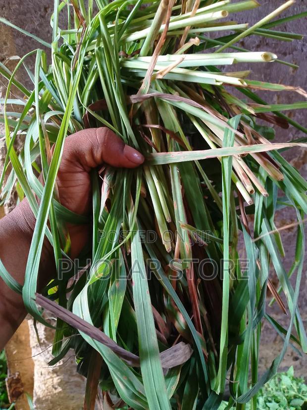 Fresh Herbs 40ghc Upward and Dried Plants 60ghc Upward · Photo 5