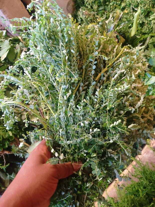 Fresh Herbs 40ghc Upward and Dried Plants 60ghc Upward · Photo 6