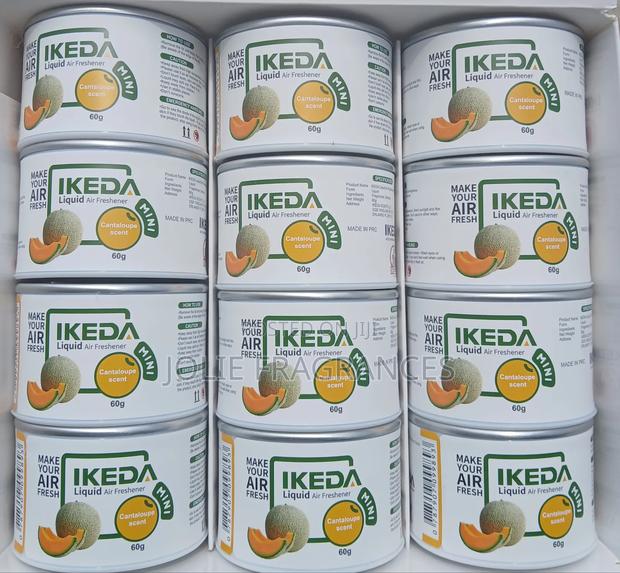 Ikeda Air Freshener 60grams · Photo 6