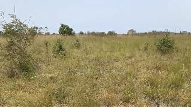 8 Plots of Land for Sale-Paradise City, Central University · Photo 1
