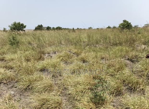 8 Plots of Land for Sale-Paradise City, Central University · Photo 3