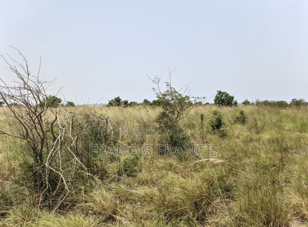 8 Plots of Land for Sale-Paradise City, Central University · Photo 4