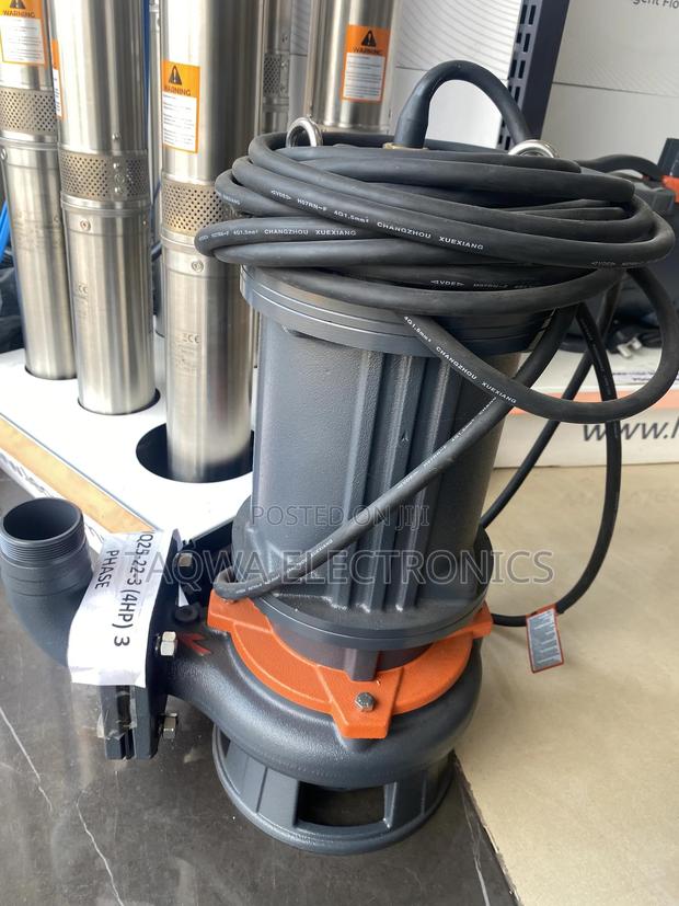 Size 65*50 Leo Sewage 4hp Pump · Photo 1