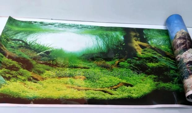 Aquarium Background · Photo 1