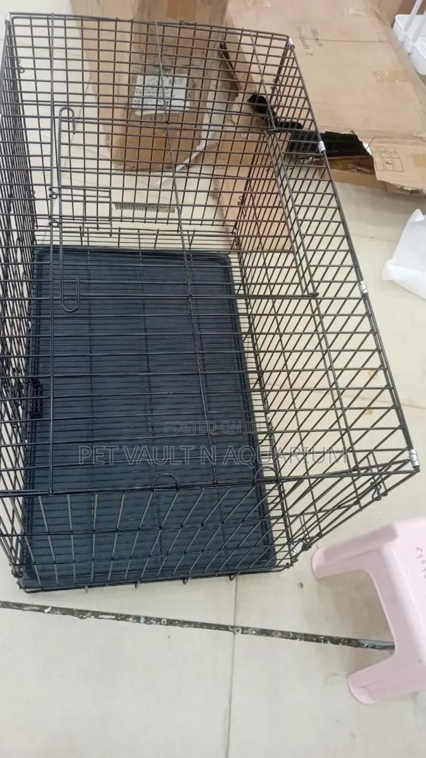 Strong Metallic Cage · Photo 1