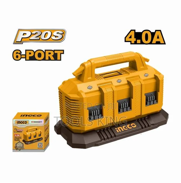 P20s Battery Charger - Fcli2064 · Photo 1