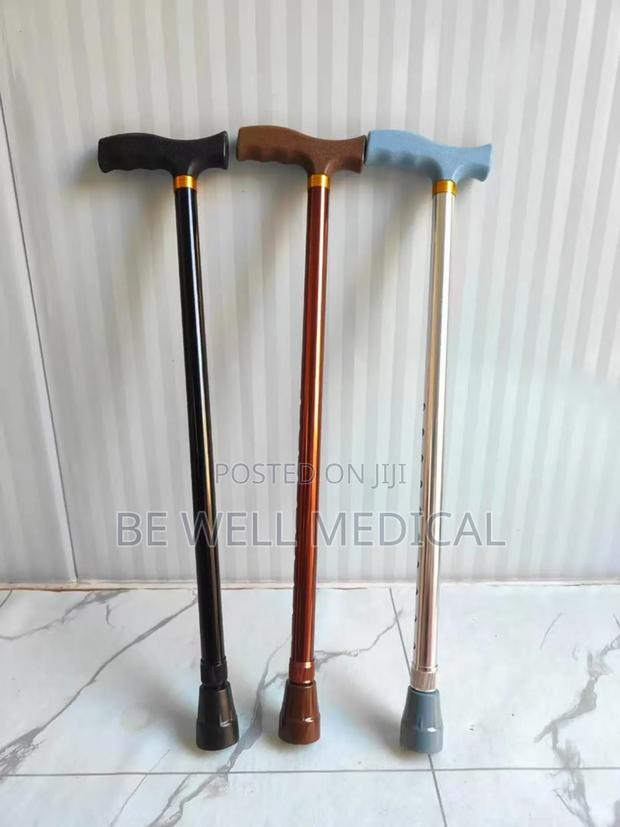 Walking Stick