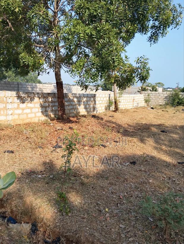 2 Plots Already Fenced Close to the Chief Palace for Sale · Photo 3